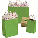 Paper Bags