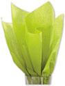Solid Tissue Paper